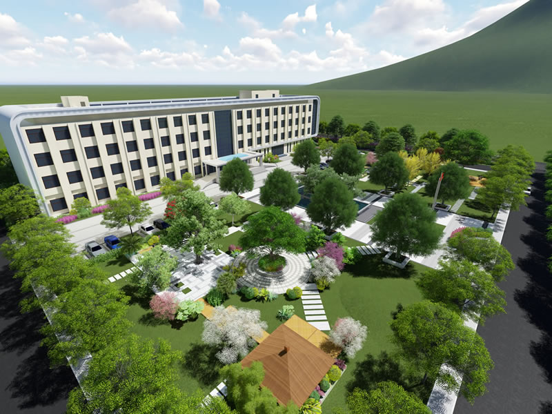 城市绿化工程中苗木基地移栽成活率提升的关键技巧